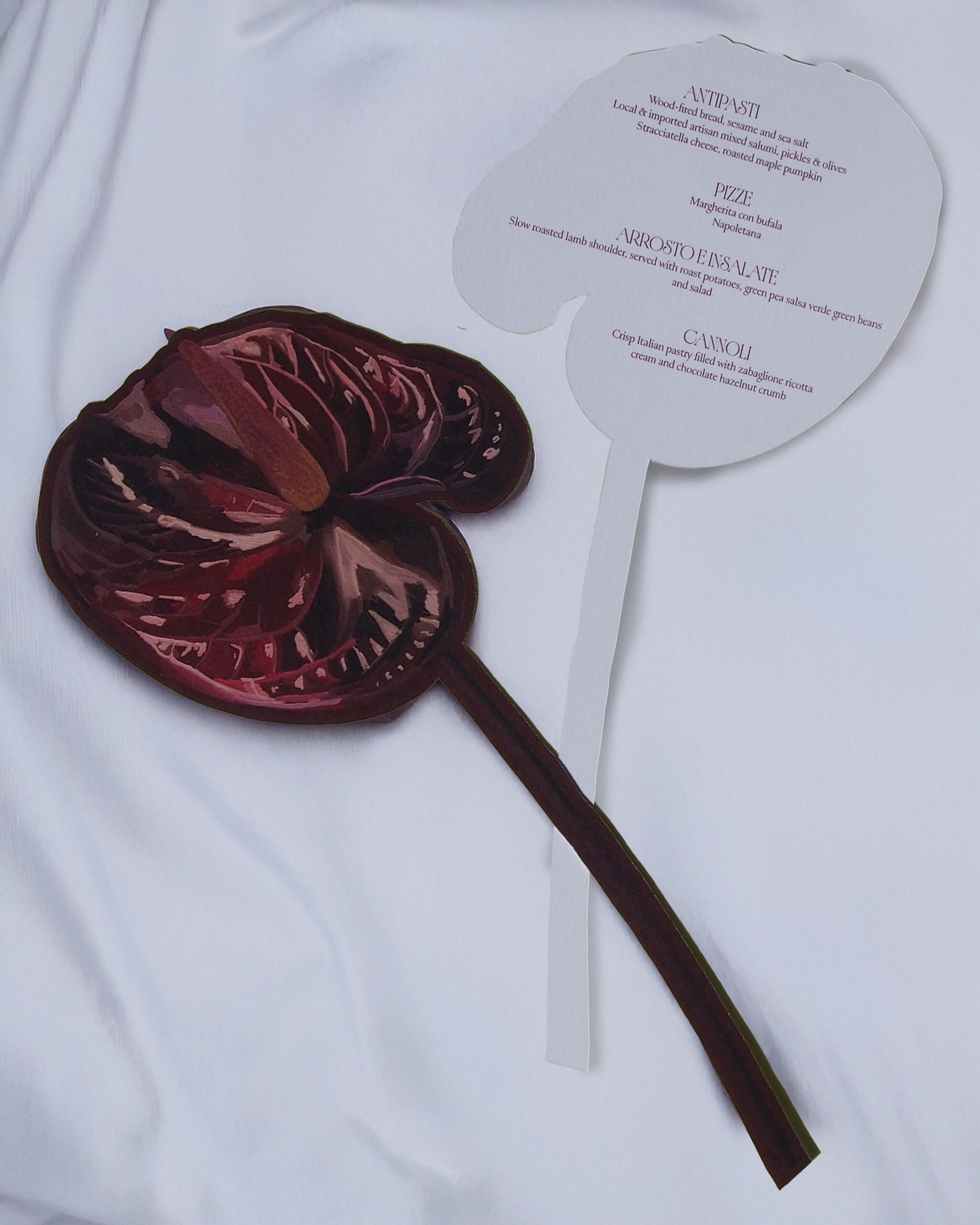 Anthurium Flower - Image 14