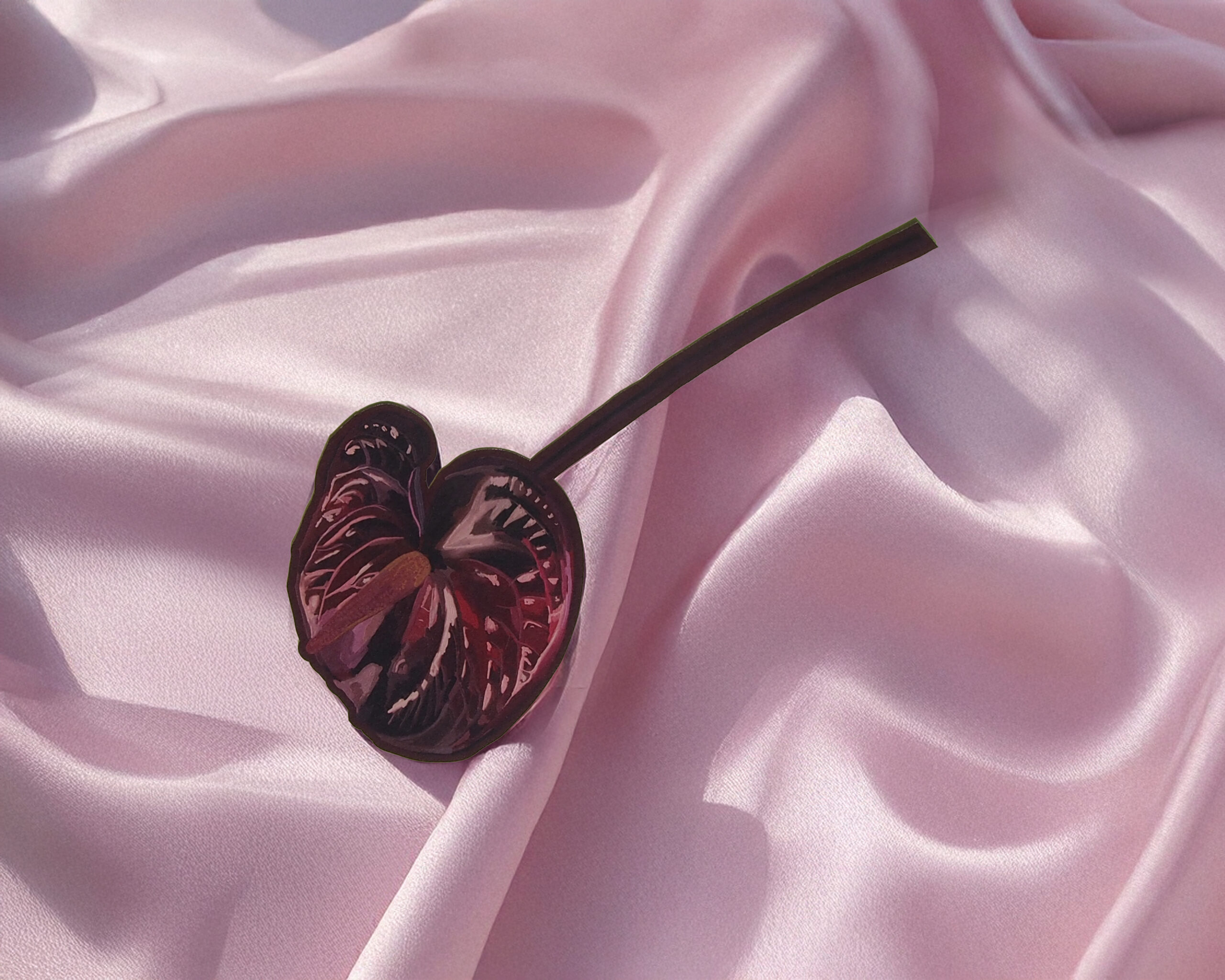Anthurium Flower - Image 13