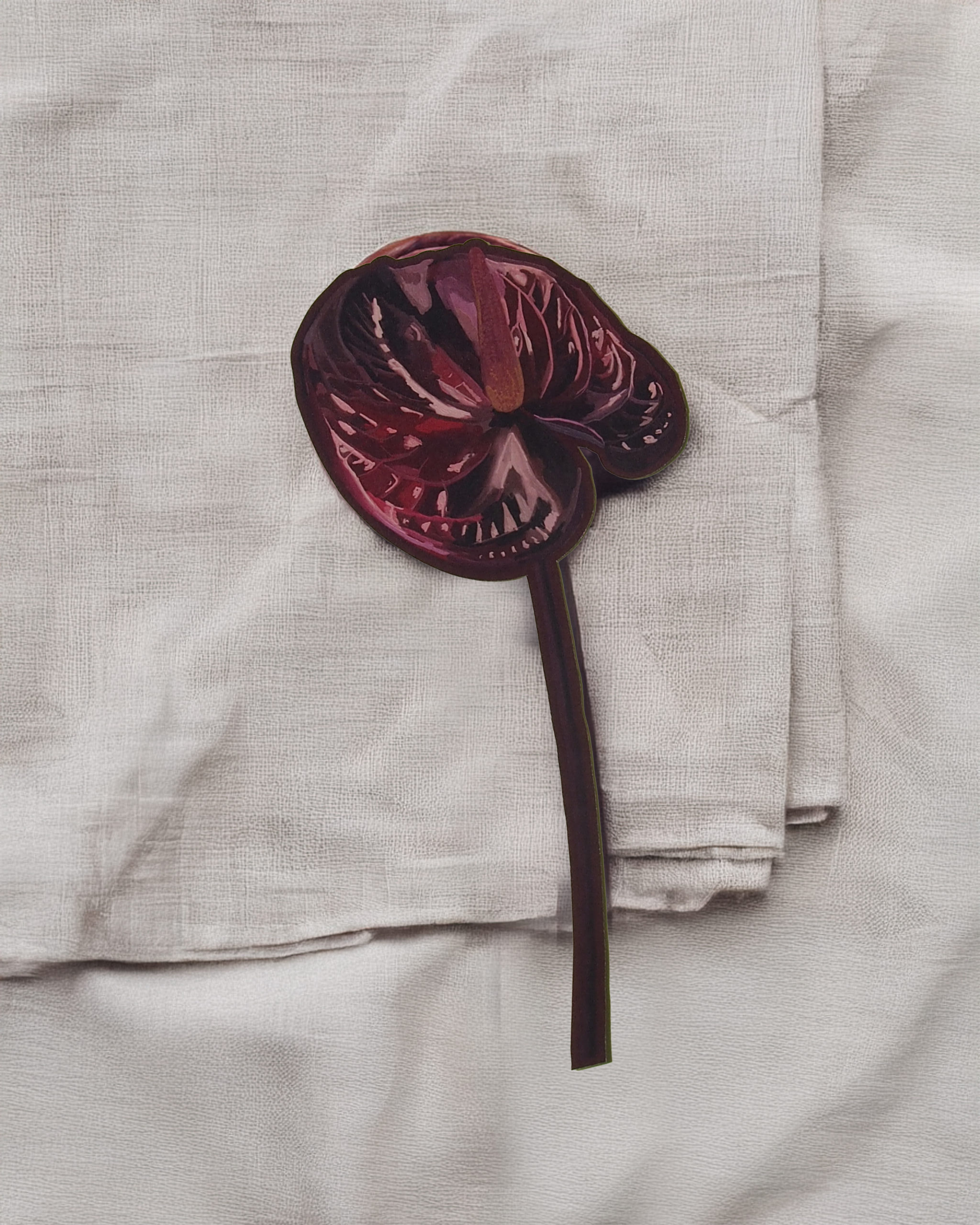 Anthurium Flower - Image 12