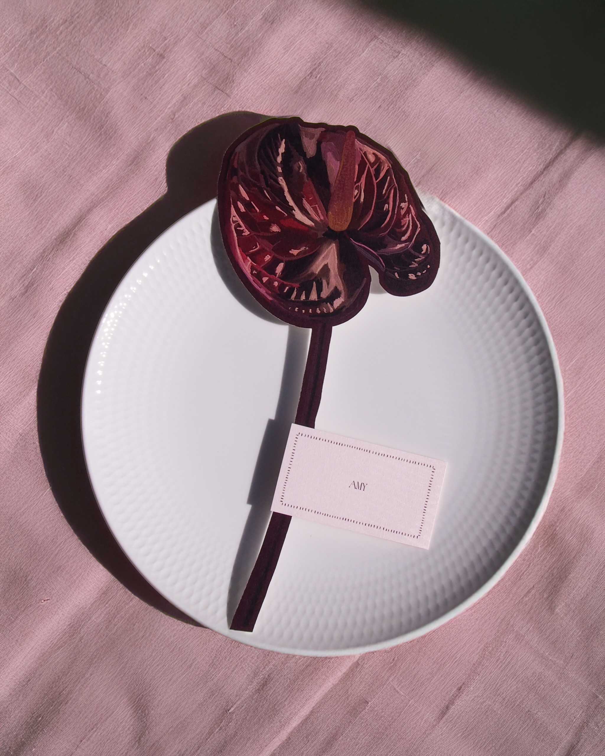 Anthurium Flower - Image 6