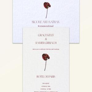 Anthurium: Essentials Bundle - Bundle A