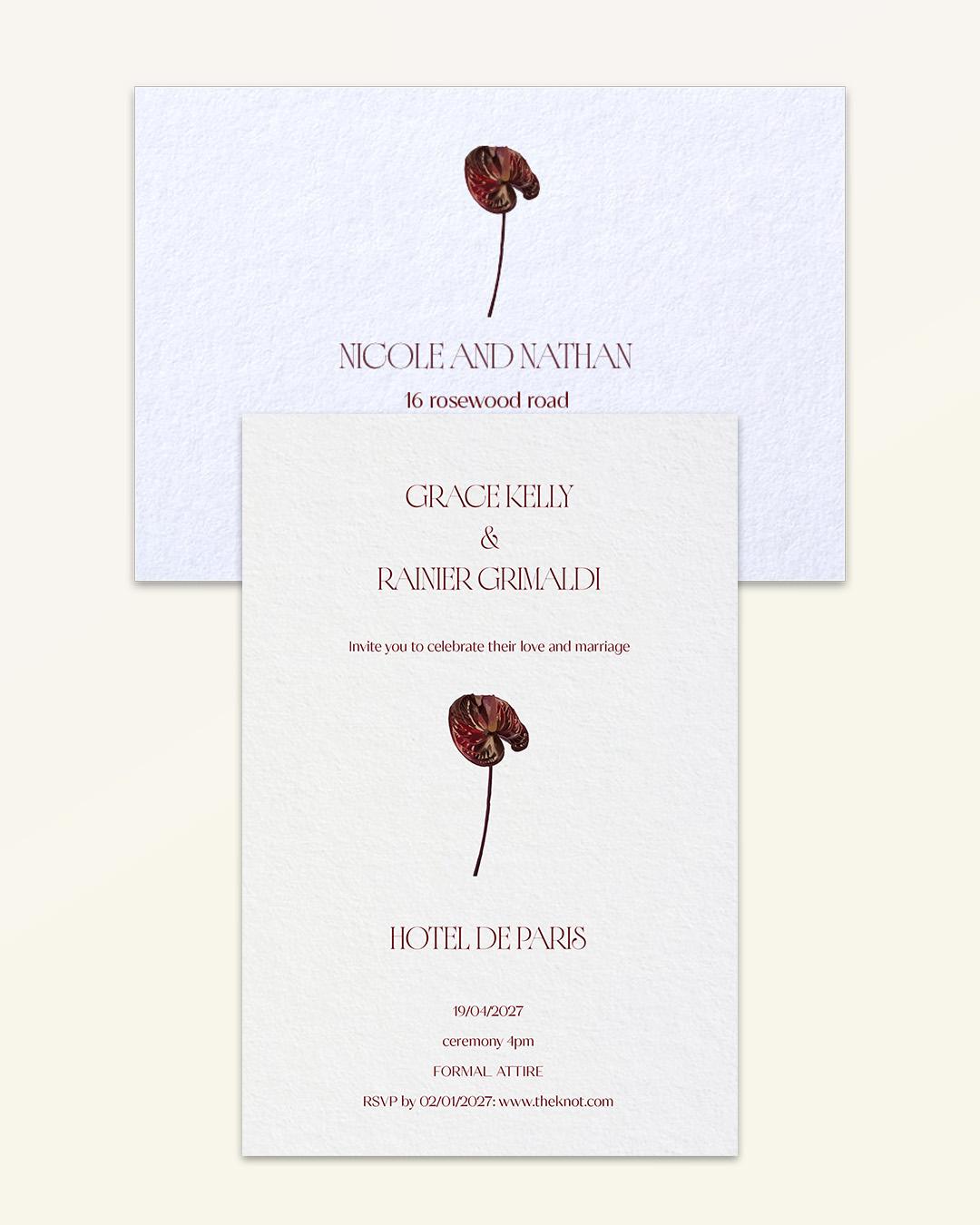 Anthurium: Essentials Bundle - Bundle A