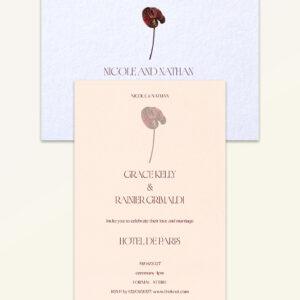 Anthurium: Essentials Bundle - Bundle B