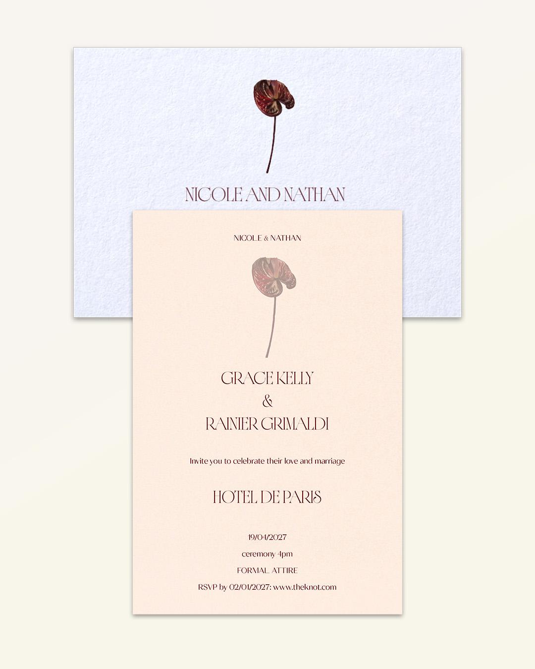 Anthurium: Essentials Bundle - Bundle B