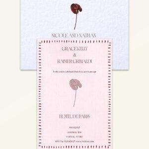 Anthurium: Essentials Bundle - Bundle C