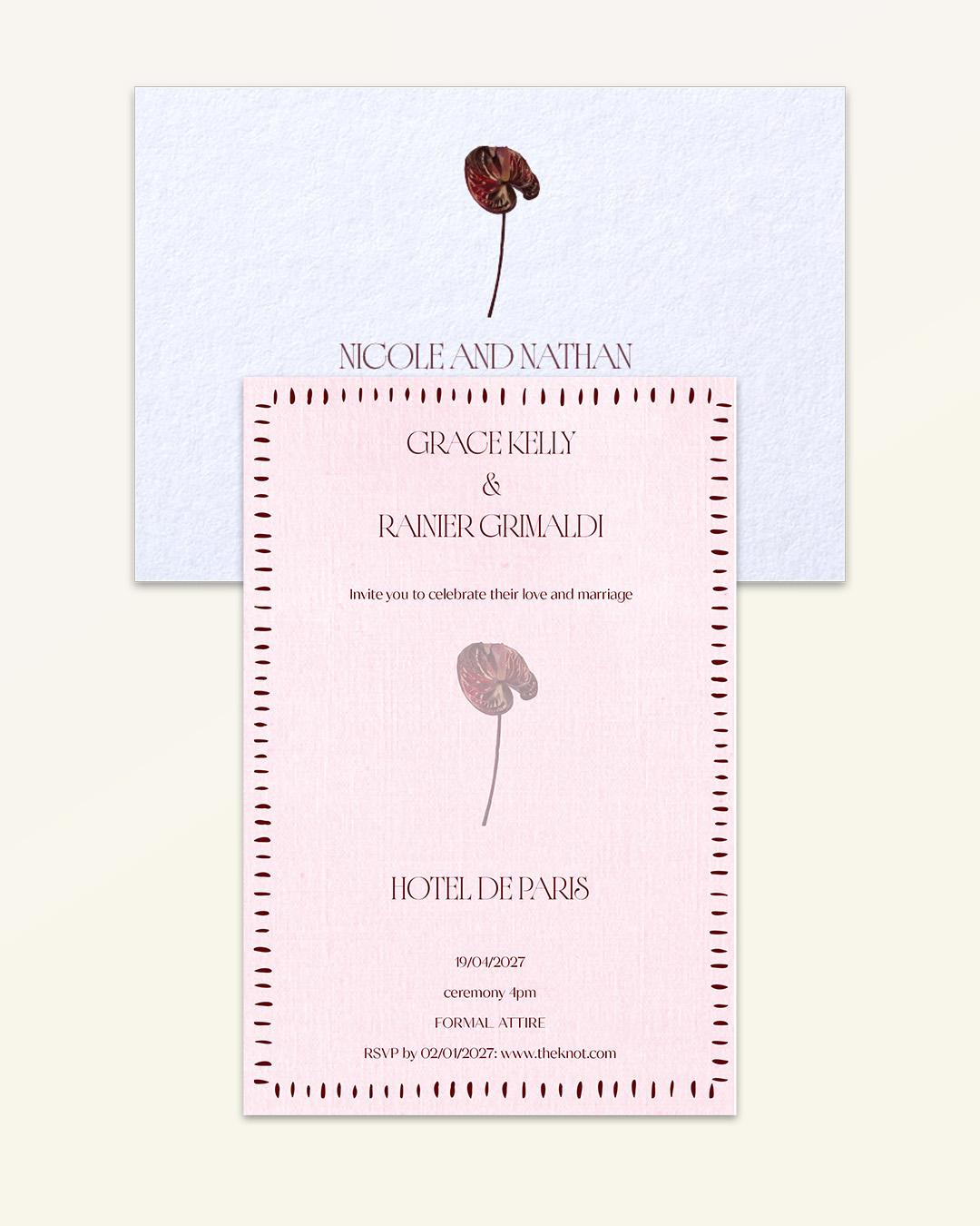 Anthurium: Essentials Bundle - Bundle C