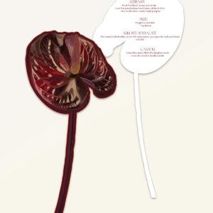 Anthurium: Menu - Version E